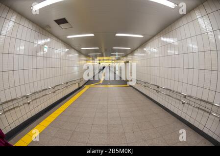 Tunnel di accesso alla metropolitana, metropolitana Tokyo, stazione di Shinjuku, Giappone Foto Stock