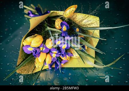 Romantico bouquet luminoso di fiori, tulipani gialli e iridi violacei. Biglietto d'auguri per tutte le occasioni, soprattutto la primavera Foto Stock