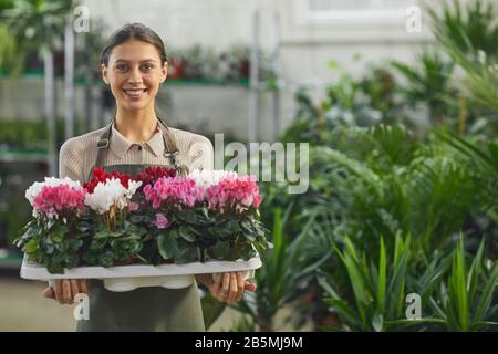 Girovita ritratto di giovane donna sorridente che tiene vassoio di piante in vaso mentre si trova in negozio di fiori, copia spazio Foto Stock