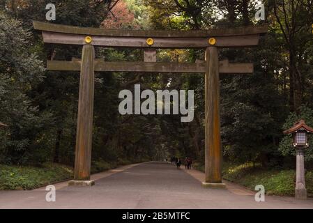 Torii che conduce al Santuario di Meiji, Parco di Yogogogi, Shibuya, Tokyo, Giappone Foto Stock