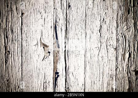 Bianco dipinto vecchio legno incrinato sfondo. Grungy e weathered bianco grigio spellatura dipinta fuori parete di legno plancia trama fondo segnato da exp lungo Foto Stock