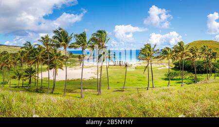 Vista panoramica delle statue moai sull'Ahu Nao-Nao e Sull'Atu Atute sulla spiaggia di Anakena, circondata da palme, sulla costa a nord dell'isola di Pasqua (Rapa Nui), Cile Foto Stock