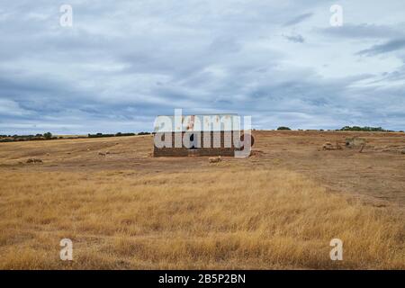 Una vecchia casa in pietra abbandonata si trova nel mezzo di un campo contadino con pecore da pascolo. A Victoria, Australia. Foto Stock