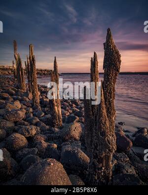 Bassa marea tramonto da Drakes Island guardando verso Wells Harbor Jetty - Wells Maine Foto Stock