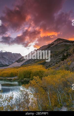 Sunset, Aspen, North Lake, Bishop Creek National Recreation Area, Inyo National Forest, Eastern Sierra, California Foto Stock