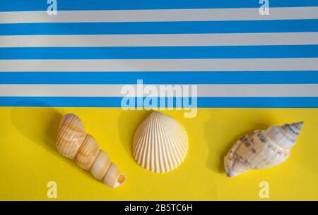 Fondo estivo marino di carta gialla e blu con conchiglie e una copia dello spazio che simboleggia la costa del mare, vista dall'alto a piano terra. Foto Stock