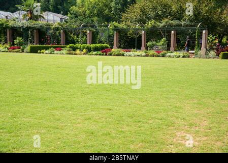 Bellissimo giardino al giardino botanico di Atlanta, Georgia Foto Stock