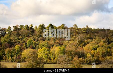 Inglese paese lato Streatley Oxfordshire Regno Unito Foto Stock