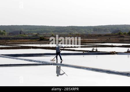 Un lavoratore sta raschiando sale dall'acqua di mare evaporata durante la raccolta del sale a Can Gio, vicino ho Chi Minh City in Vietnam Foto Stock