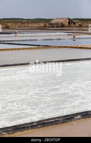 Pianure saline sparate in verticale a Can Gio vicino ho Chi Minh City in Vietnam. Un lavoratore può essere visto in distanza raschiare il sale in pile Foto Stock