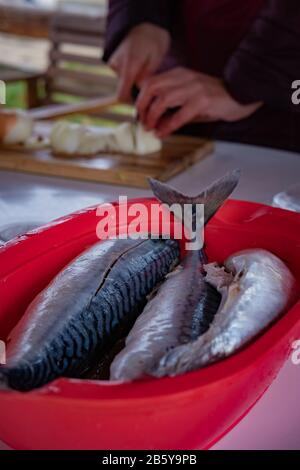 Sgombri non cotti in una ciotola di plastica. Con lo chef nelle cipolle affettatrici a grappoli. Foto Stock