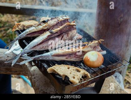 Pesci (sgombri) sulla griglia nel giardino. Piccola festa barbecue in giardino. Foto Stock