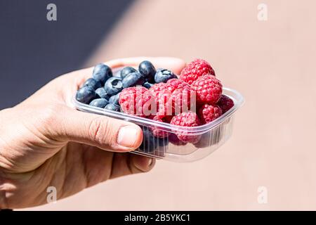 il ragazzo sta tenendo un vassoio di lamponi e mirtilli. Frutta ricca di vitamine sono confezionate in scatole. Scatola su sfondo chiaro con spazio di copia. Foto Stock