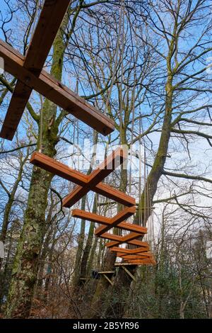 Sentiero degli alberi a Loch Lomond Shores, Loch Lomond, Balloch, Scozia Foto Stock