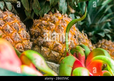 Ananas e frutti di drago, una foto da vicino Foto Stock