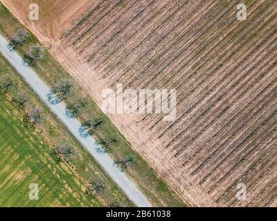 Aereo colpo agricolo con un drone su un terreno agricolo con alcuni alberi in una campagna rurale. Ambiente naturale e produzione alimentare. Foto Stock