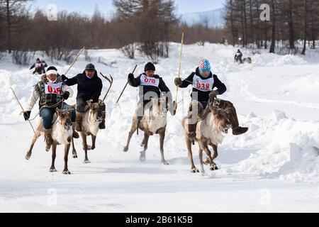 Iengra, Distretto Di Neryungri, Yakutia, Russia. 7 marzo 2020 Reledeer Racing per la celebrazione degli allevatori di renne Foto Stock