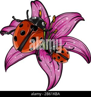 ladybugs nel giardino rosso vettore illustrazione Illustrazione Vettoriale