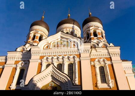 TALLINN ESTONIA Foto Stock