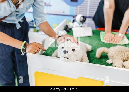 Donna giocare con robot terapeutico cute PET giocattolo per disabili Foto Stock