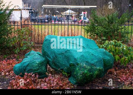 Piante e alberi in un parco coperto di fogli di plastica per proteggerli dal gelo e dal freddo Foto Stock