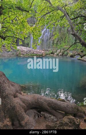 Lago blu sullo sfondo della cascata Kursunlu. Le cime degli alberi verdi sono in primo piano. Foto Stock