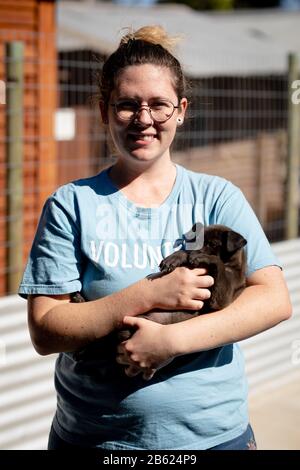 Donna con un piccolo cane tra le braccia in un ricovero per cani Foto Stock