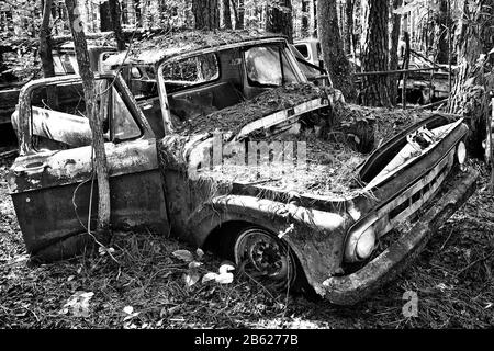 White, GA / USA - 17 ottobre 2018 - primo piano immagine di un Vecchio Camion di scarto in un Junk Yard nel bosco Foto Stock