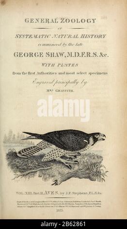 Dal volume XIII (Aves) Parte 2, di "Zoologia Generale o Storia Naturale Sistematica" del naturalista britannico George Shaw (1751-1813). Griffith, signora, incisore. Heath, Charles, 1785-1848, incisore. Stephens, James Francis, 1792-1853 Pubblicato a Londra nel 1825 da G. Kearsley Foto Stock