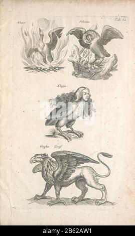 Stampa copperplata di un Griffin e di altre creature Mitologiche alate opere d'arte del 17th secolo. Questa opera è tratta da "Historiae naturalis de quadrupetibus" (1657) dello studioso e medico polacco John Jonston (1603-1675). Foto Stock