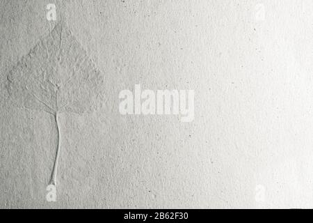 Una foglia all'interno di un foglio di carta fatto in casa. Spazio di copia per il concetto ecologico naturale. Foto Stock
