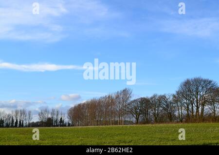 Lullingstone, Darent Valley, Kent, primi di marzo, giorno di spettacolo Foto Stock