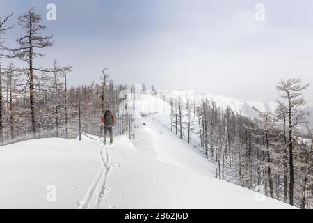lo sciatore di fondo corre lungo una pista. Luminoso pomeriggio di sole, piste ben preparate. Foto Stock