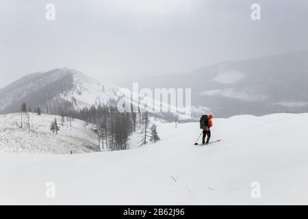 Trekking invernale attraverso i boschi innevati in pista in montagna Foto Stock