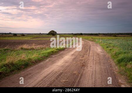 Strada sabbiosa attraverso campi e nuvole serali sul cielo Foto Stock