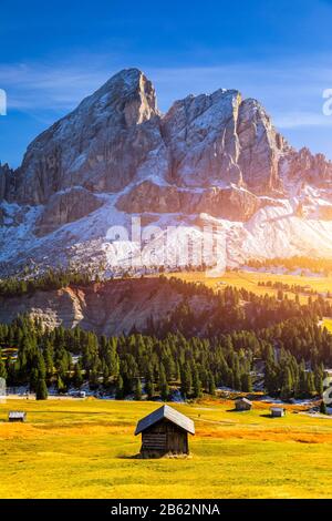 Splendida vista del Sass de Putia mountain dal Passo delle Erbe nelle Dolomiti, Italia. Vista del Sass de Putia (Sass de Putia) al Passo delle Erbe, con woode Foto Stock