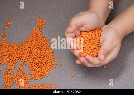 fagioli lenticchie in mani bambini, top iew Foto Stock