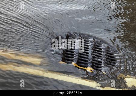 Acqua di inondazione nel marzo 2020 dal fiume Ouse che sgocciola nel tombino a King's Staith, York, Regno Unito. Foto Stock