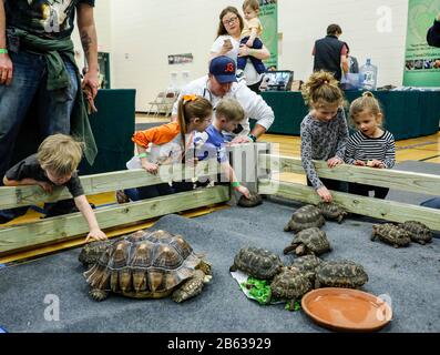 (200309) -- LAKE FOREST (U.S.), 9 marzo 2020 (Xinhua) -- Children Touch Cherry Head Red-Footed Tortoises al Reptile Rampage evento a Lake Forest, Illinois, Stati Uniti, l'8 marzo 2020. L'evento di un giorno si è tenuto la domenica nella Lake Forest e mostra più di 150 serpenti, lucertole, tartarughe e molto altro. (Foto Di Joel Lerner/Xinhua) Foto Stock