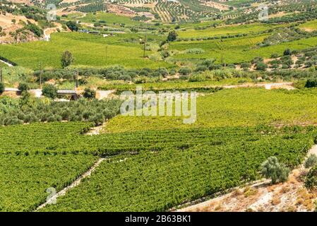 Panoramica unica vista aerea di Archanes regione rurale paesaggio. Il verde dei prati, uliveti e vigneti, in primavera. Heraklion, Creta, Grecia. Foto Stock