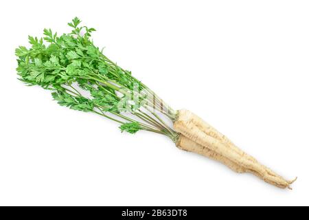 Prezzemolo a grossa radice con foglie isolati su sfondo bianco Foto Stock