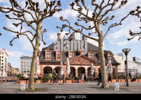 Francoforte Hauptwache Plaza e platani in inverno, Francoforte, Germania Foto Stock