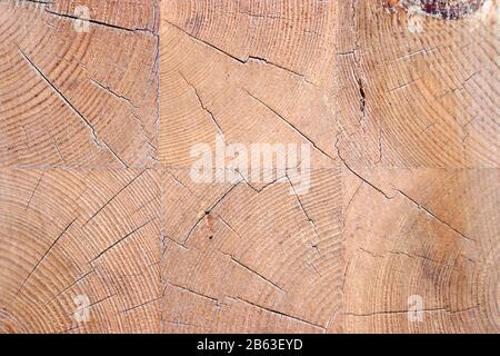 Diverse trame di legno. Foto Stock