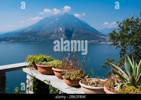 Selezione di piante coltivate in vasi di terracotta con acque blu profondo del Lago di Como, in Italia, sullo sfondo Foto Stock