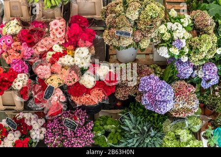 Grappoli di vari fiori colorati in secchi e vasi in mostra in stallo di mercato a Cascais Portogallo Foto Stock