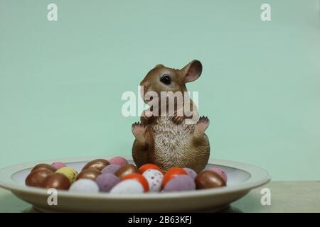 Jolly mouse e un piatto di cioccolato uova di pasqua. 09/03/2020. droitwich, worcester, inghilterra, regno unito. Jolly mouse seduto su un piatto di cioccolato uova di pasqua. Foto Stock