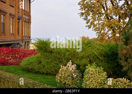 Giardino di giaia di cespugli e fiori. Foto Stock