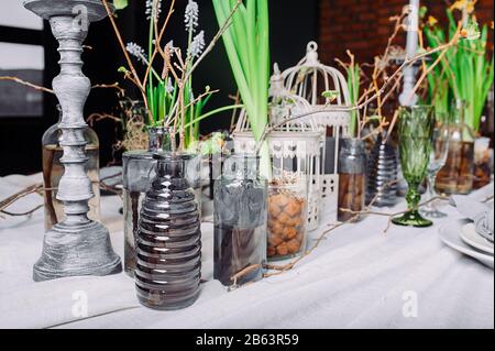 Germinazione di giovani pianta a casa. Tavolo in un misterioso stile primaverile con piante vive e rami. Foto Stock