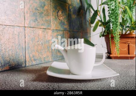 Teapot in porcellana bianca pulita nella cucina fatta di materiali grezzi di calcestruzzo e di una pianta domestica sullo sfondo. Foto Stock