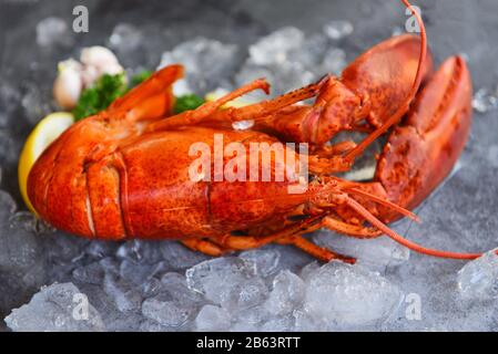 Cena a base di pesce con aragosta rossa con spezie alle erbe, prezzemolo al limone servito a tavola e ghiaccio nel ristorante gourmet cibo sano bollito aragosta cucinato / Fresco Foto Stock